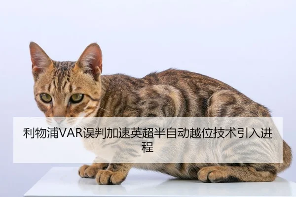 利物浦VAR误判加速英超半自动越位技术引入进程